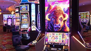 4455 bet